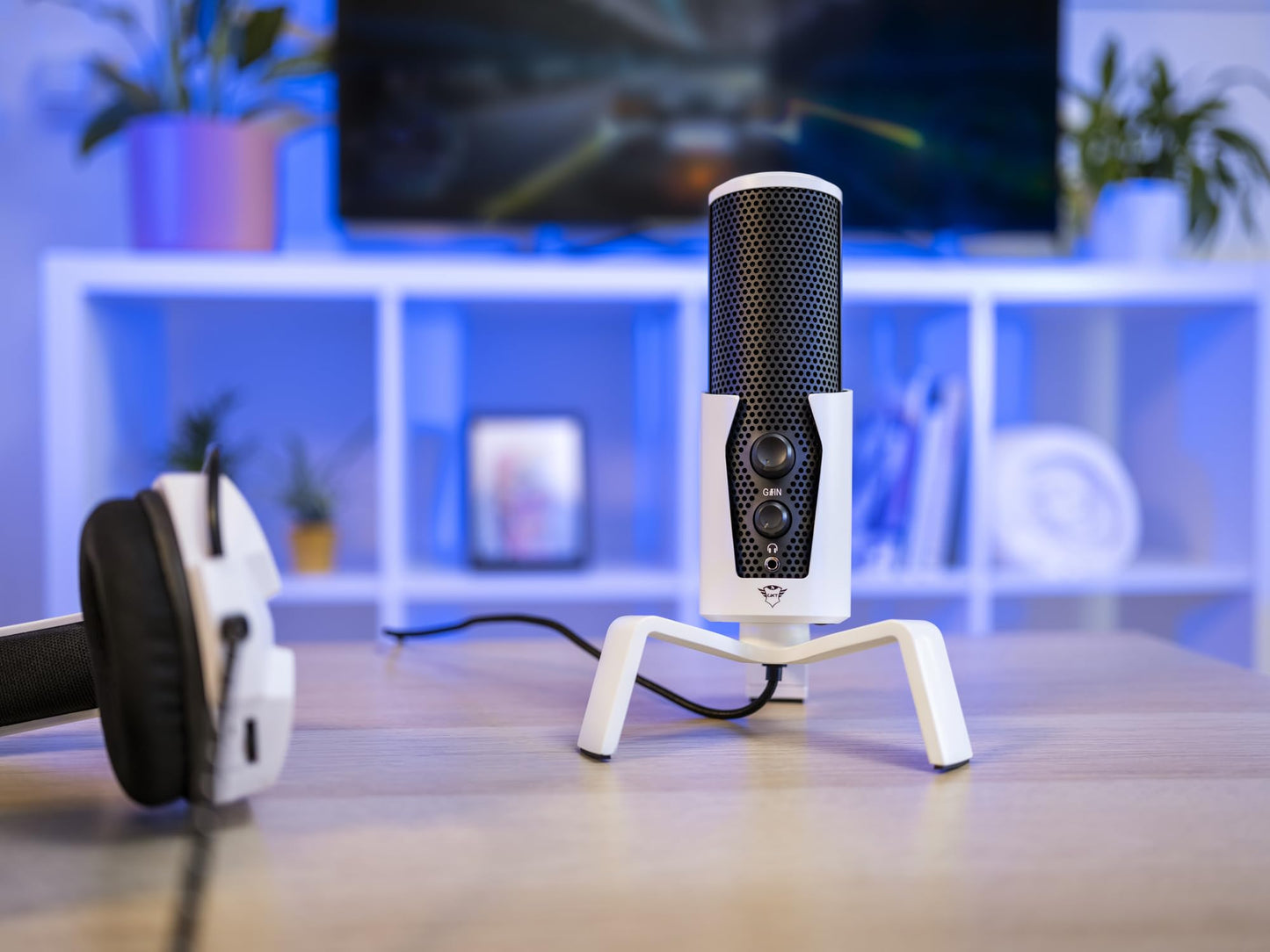 Trust Gaming GXT 258 Fyru Streaming Mikrofon, 4 Aufnahmecharakteristika, Latenzfreies Monitoring, Weiß